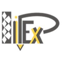 International Piling Experts LLC