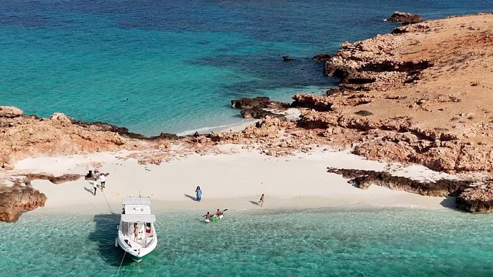 Daymaniyat Islands Sea Tours